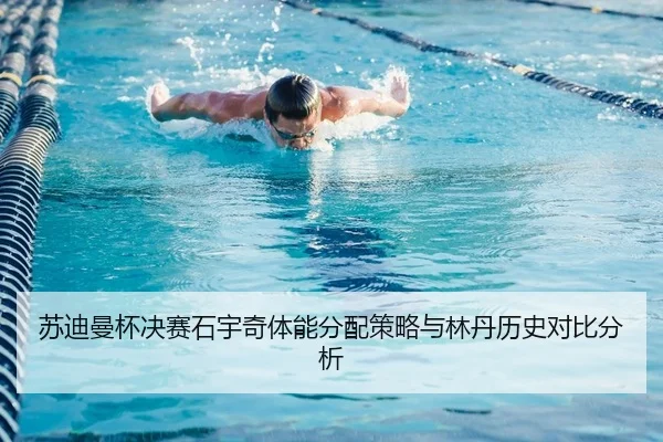 su-di-man-bei-jue-sai-shi-yu-qi-ti-neng-fen-pei-ce-lve-yu-lin-dan-li-shi-dui-bi-fen-xi-2-451.jpg